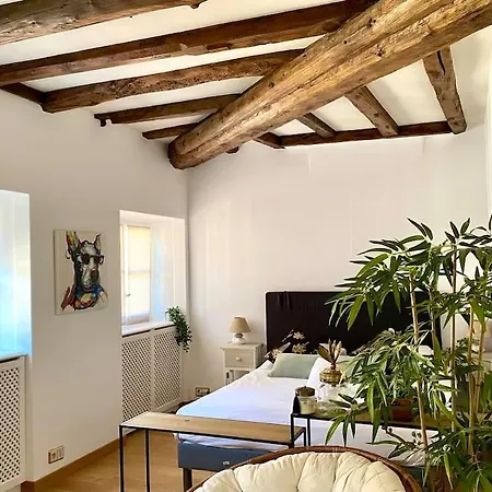 Appartement Le Roseau - En Plein Coeur Historique Annecy